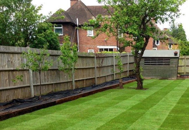 turfing-surrey1