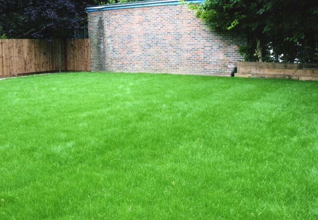 turfing-surrey2